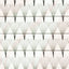 10D Pro-Made Lash Fans Eyelash Extensions closeup